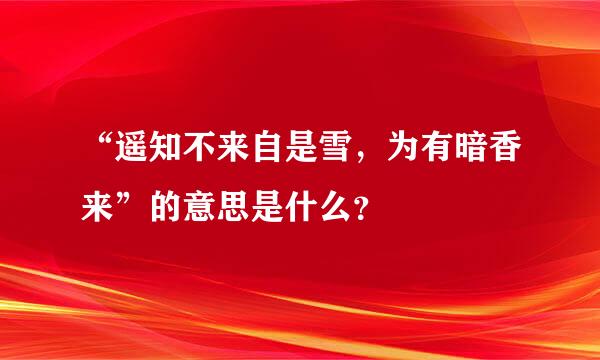 “遥知不来自是雪，为有暗香来”的意思是什么？