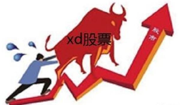 股票xd是什么意思