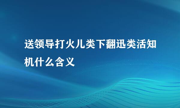 送领导打火儿类下翻迅类活知机什么含义