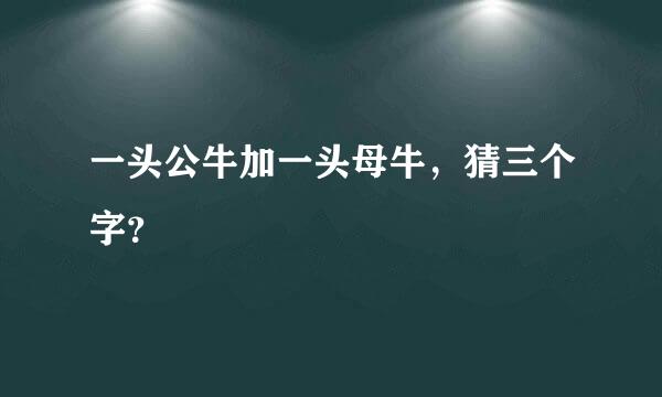 一头公牛加一头母牛，猜三个字？