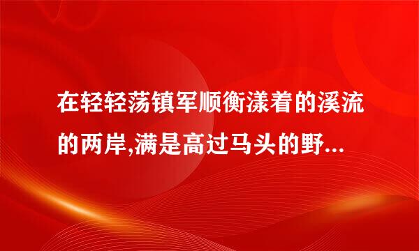 在轻轻荡镇军顺衡漾着的溪流的两岸,满是高过马头的野花,五彩缤纷,像织不完的锦【在后面】