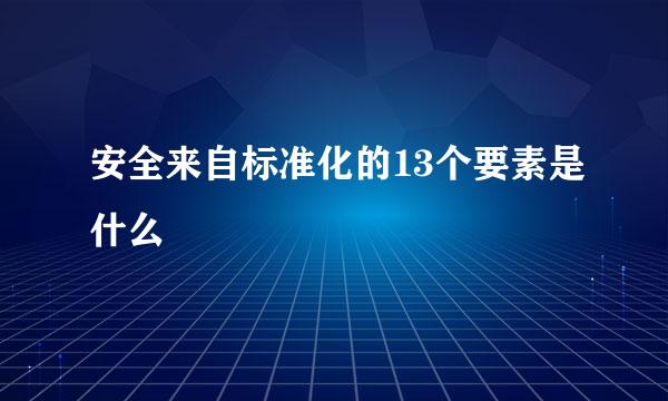 安全来自标准化的13个要素是什么