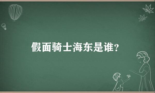 假面骑士海东是谁？