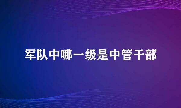 军队中哪一级是中管干部