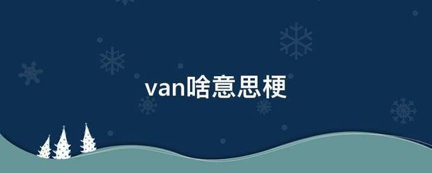 van啥意思梗