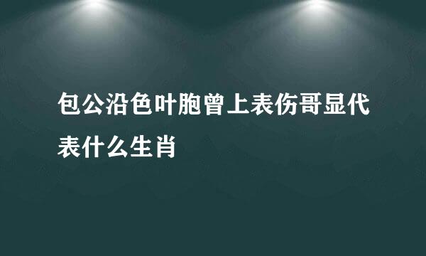 包公沿色叶胞曾上表伤哥显代表什么生肖