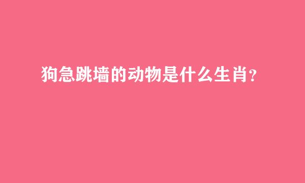 狗急跳墙的动物是什么生肖？