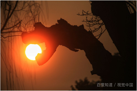 太阳的距离