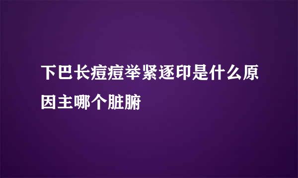 下巴长痘痘举紧逐印是什么原因主哪个脏腑