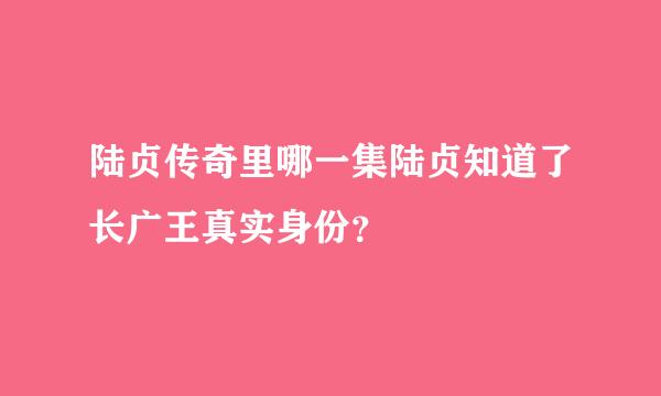 陆贞传奇里哪一集陆贞知道了长广王真实身份？