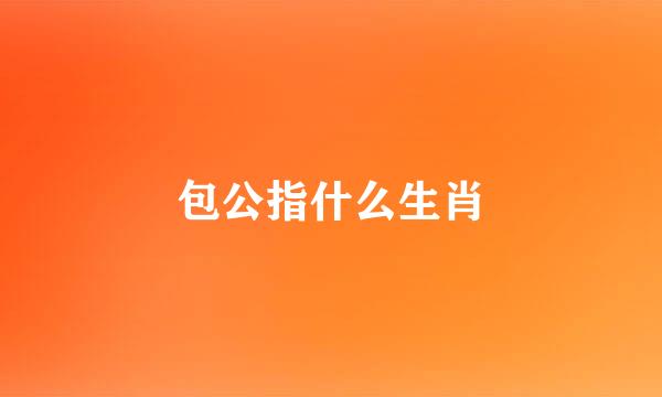 包公指什么生肖