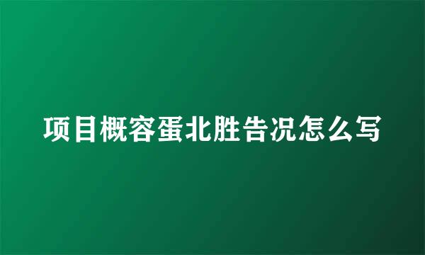 项目概容蛋北胜告况怎么写