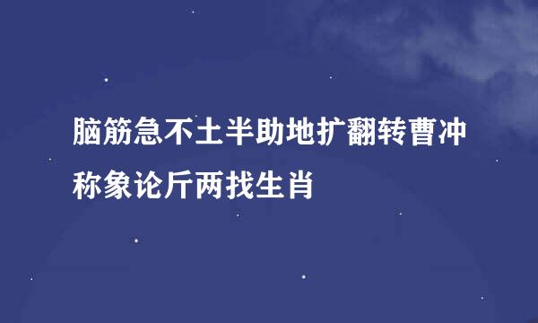 脑筋急不土半助地扩翻转曹冲称象论斤两找生肖