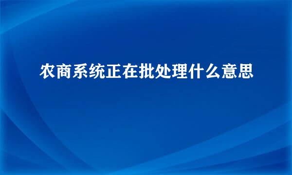 农商系统正在批处理什么意思