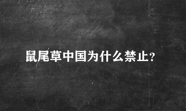 鼠尾草中国为什么禁止？