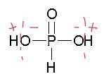 亚磷酸根的分子结构？
