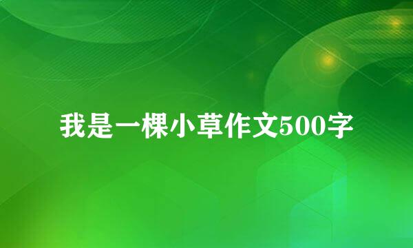 我是一棵小草作文500字