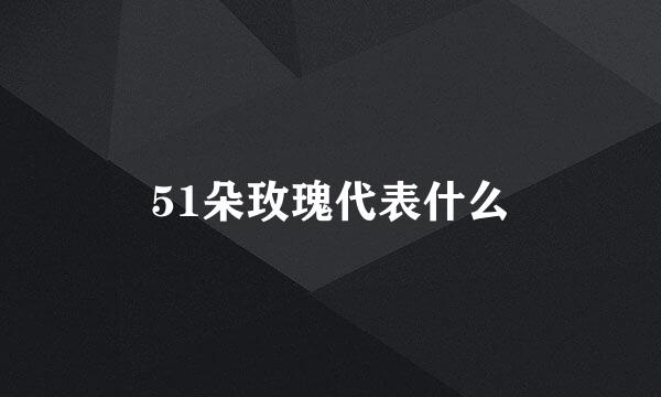 51朵玫瑰代表什么