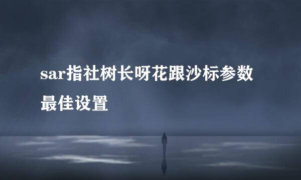 sar指社树长呀花跟沙标参数最佳设置