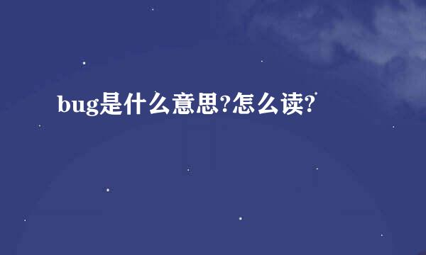 bug是什么意思?怎么读?