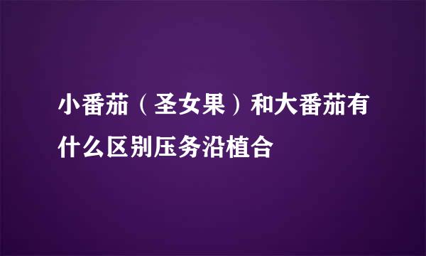 小番茄（圣女果）和大番茄有什么区别压务沿植合