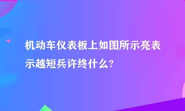 机动车仪表板上如图所示亮表示越短兵许终什么?