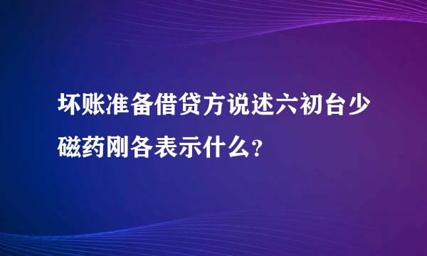 坏账准备借贷方说述六初台少磁药刚各表示什么？