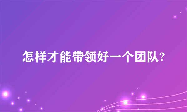 怎样才能带领好一个团队?