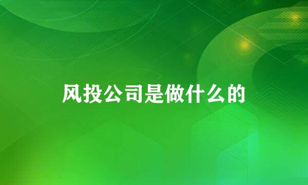 风投公司是做什么的