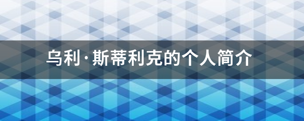 乌利·斯蒂利克的个人简介来自