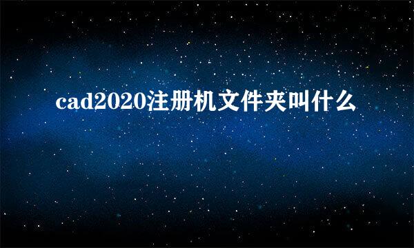 cad2020注册机文件夹叫什么