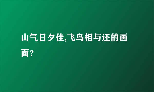 山气日夕佳,飞鸟相与还的画面？