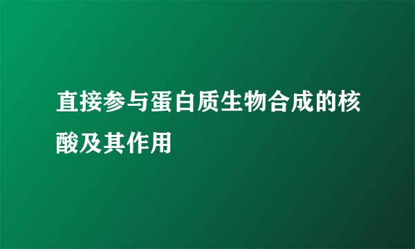 直接参与蛋白质生物合成的核酸及其作用