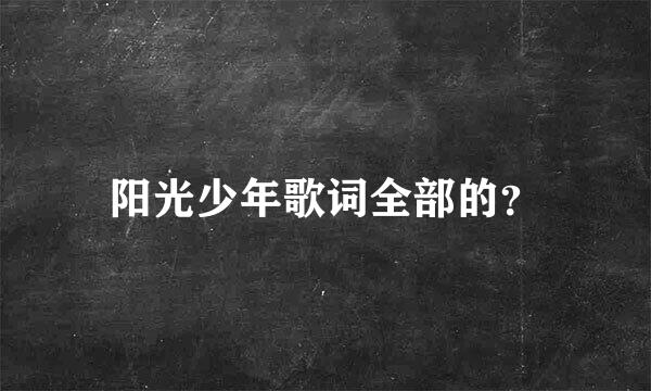 阳光少年歌词全部的？