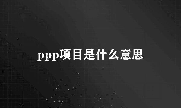 ppp项目是什么意思