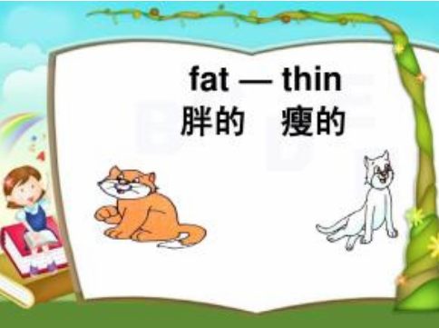 fat的反义词是什么