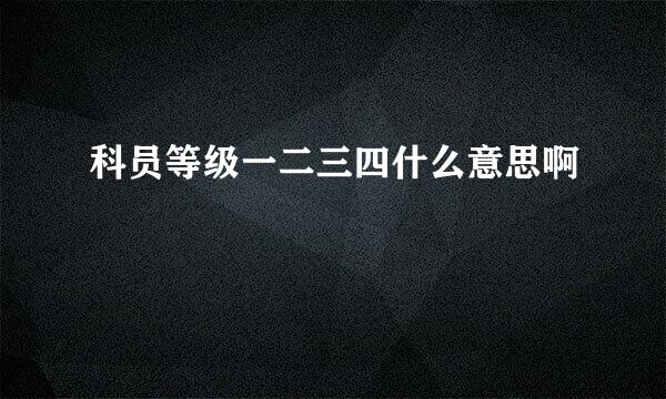 科员等级一二三四什么意思啊