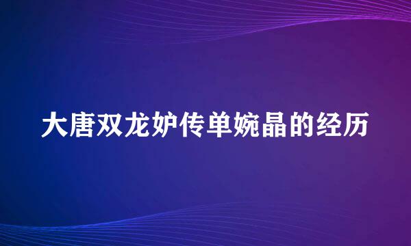 大唐双龙妒传单婉晶的经历