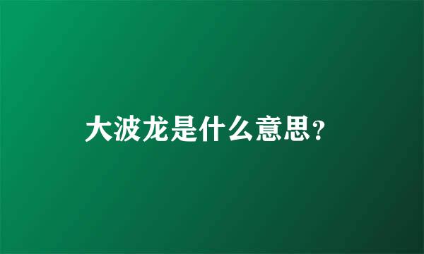 大波龙是什么意思？