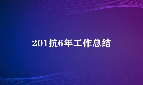 201抗6年工作总结