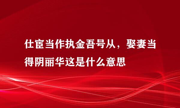 仕宦当作执金吾号从，娶妻当得阴丽华这是什么意思