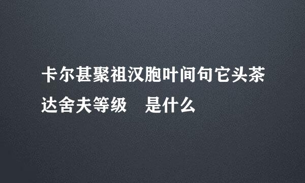 卡尔甚聚祖汉胞叶间句它头茶达舍夫等级 是什么