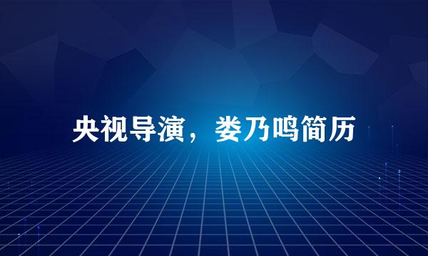 央视导演，娄乃鸣简历