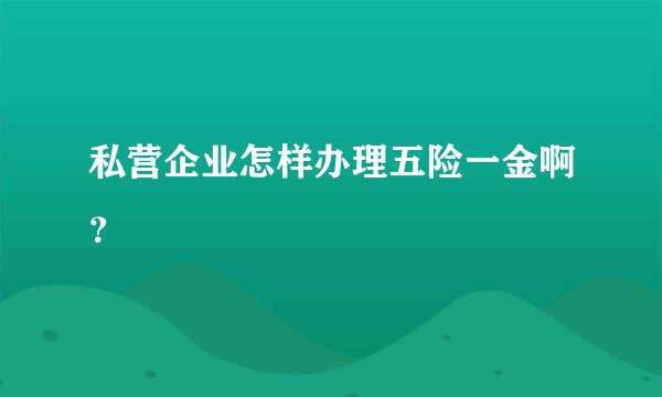 私营企业怎样办理五险一金啊？