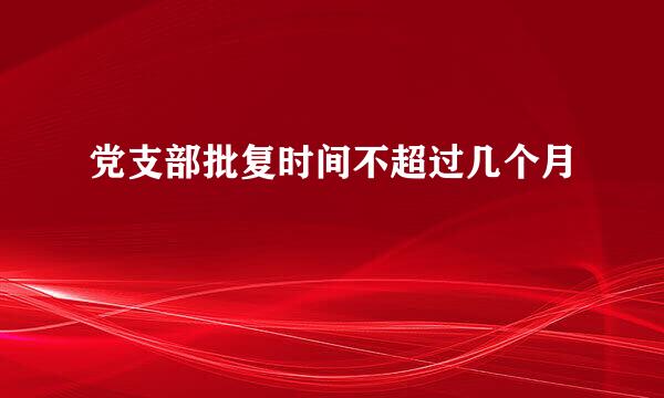 党支部批复时间不超过几个月