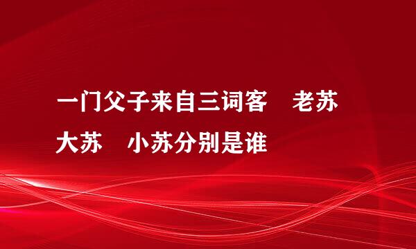 一门父子来自三词客 老苏 大苏 小苏分别是谁