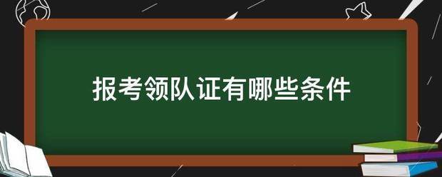 报考领队证有哪些条件