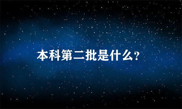 本科第二批是什么？