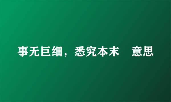 事无巨细，悉究本末 意思