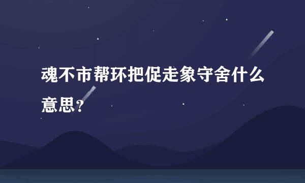 魂不市帮环把促走象守舍什么意思？